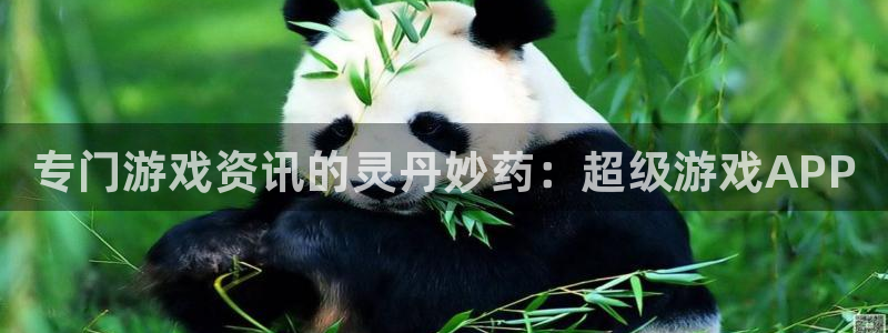 蓝冠娱乐app：专门游戏资讯的灵丹妙药：超级游戏APP