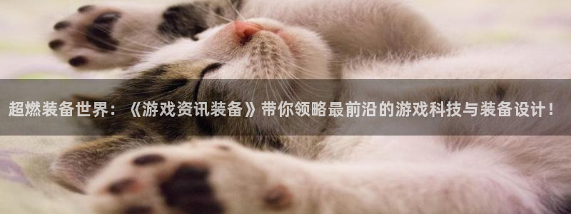 蓝冠娱乐平台登录线路：超燃装备世界：《游戏资讯装备》带你领略