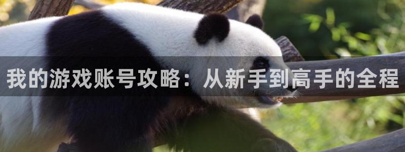 蓝冠娱乐官网：我的游戏账号攻略：从新手到高手的全程