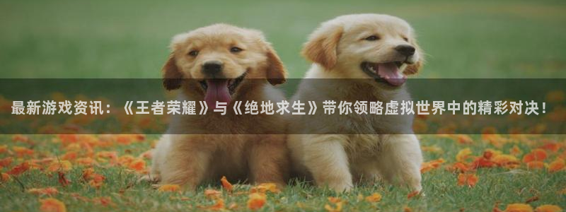 蓝冠娱乐官方平台：最新游戏资讯：《王者荣耀》与《绝地求生》带