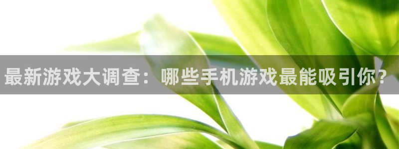 蓝冠娱乐网页登录入口下载：最新游戏大调查：哪些手机游戏最能吸