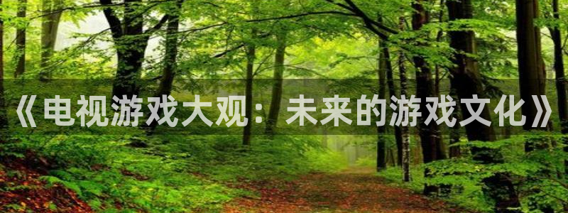 蓝冠娱乐注册开户：《电视游戏大观：未来的游戏文化》