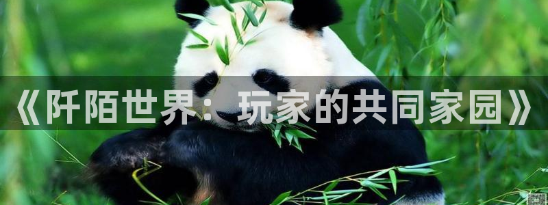 蓝冠娱乐平台官网登录：《阡陌世界：玩家的共同家园》